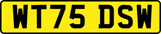 WT75DSW