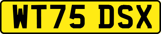 WT75DSX