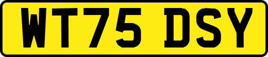 WT75DSY