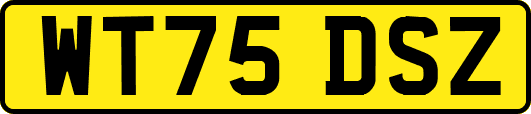WT75DSZ