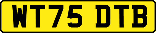 WT75DTB
