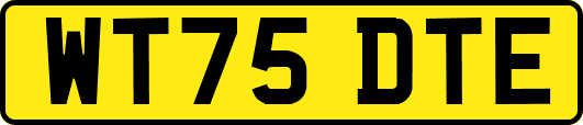 WT75DTE