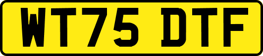 WT75DTF