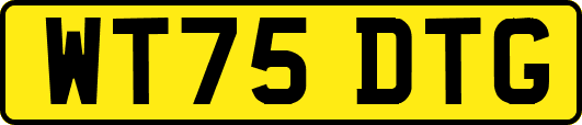 WT75DTG