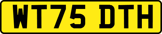 WT75DTH