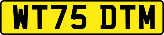WT75DTM