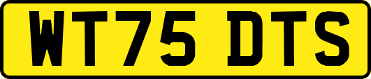 WT75DTS