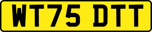WT75DTT