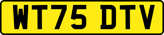 WT75DTV