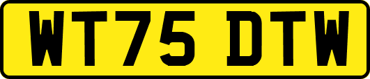 WT75DTW