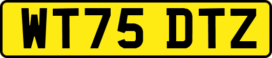 WT75DTZ