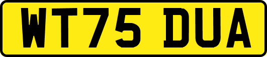 WT75DUA
