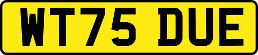WT75DUE
