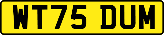 WT75DUM