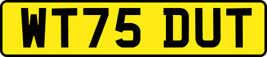 WT75DUT