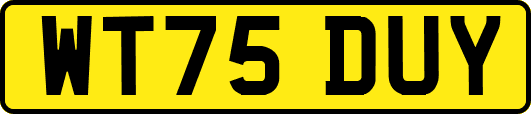 WT75DUY