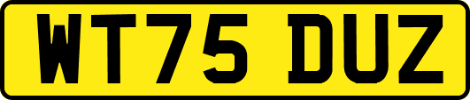 WT75DUZ