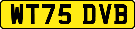 WT75DVB