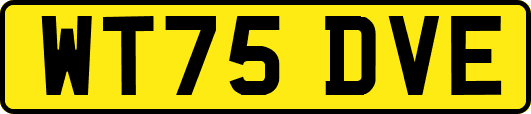 WT75DVE