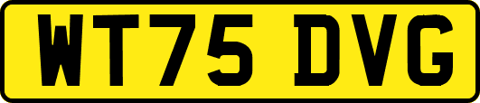 WT75DVG