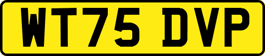 WT75DVP