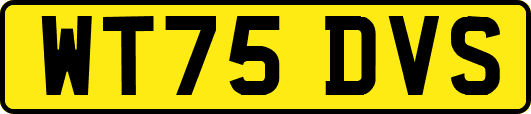 WT75DVS