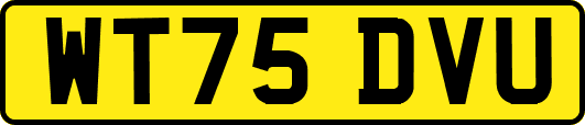 WT75DVU