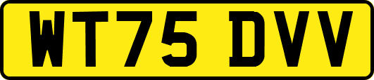 WT75DVV