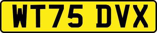 WT75DVX