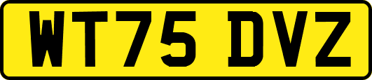 WT75DVZ