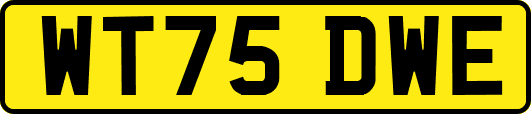 WT75DWE