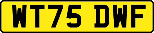 WT75DWF
