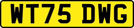 WT75DWG