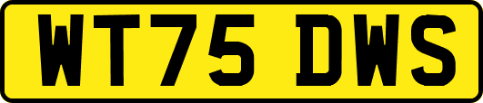 WT75DWS