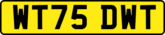 WT75DWT