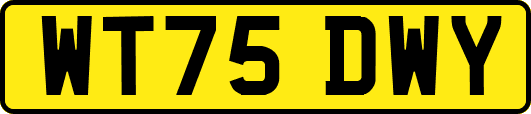 WT75DWY
