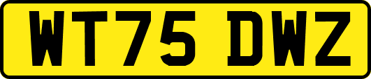 WT75DWZ