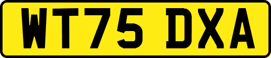 WT75DXA