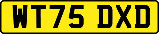 WT75DXD