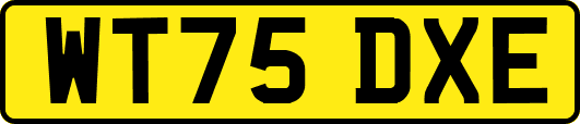 WT75DXE