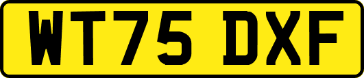 WT75DXF