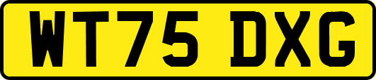 WT75DXG