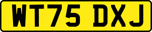 WT75DXJ