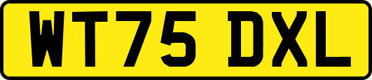 WT75DXL
