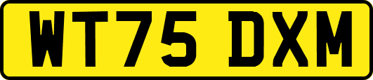 WT75DXM