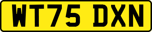 WT75DXN