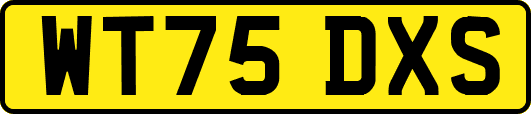 WT75DXS