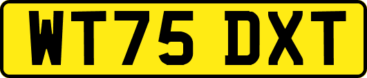 WT75DXT
