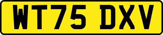 WT75DXV