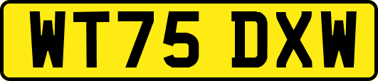WT75DXW